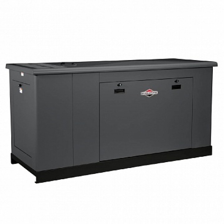 Генератор газовый Briggs&Stratton G290